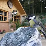 Mery Jan Homestay szállás *