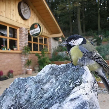 Mery Jan Homestay szállás *