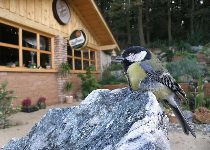 Mery Jan منزل للإقامة *